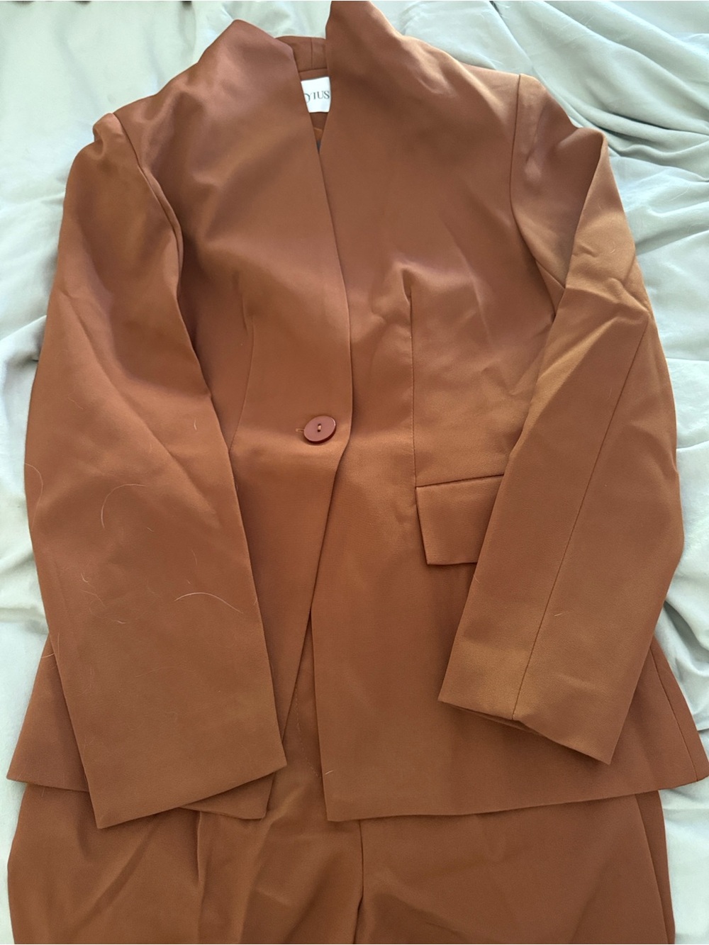 NWT- Burnt Orange/Brown Single-Button Blazer and Pants Set